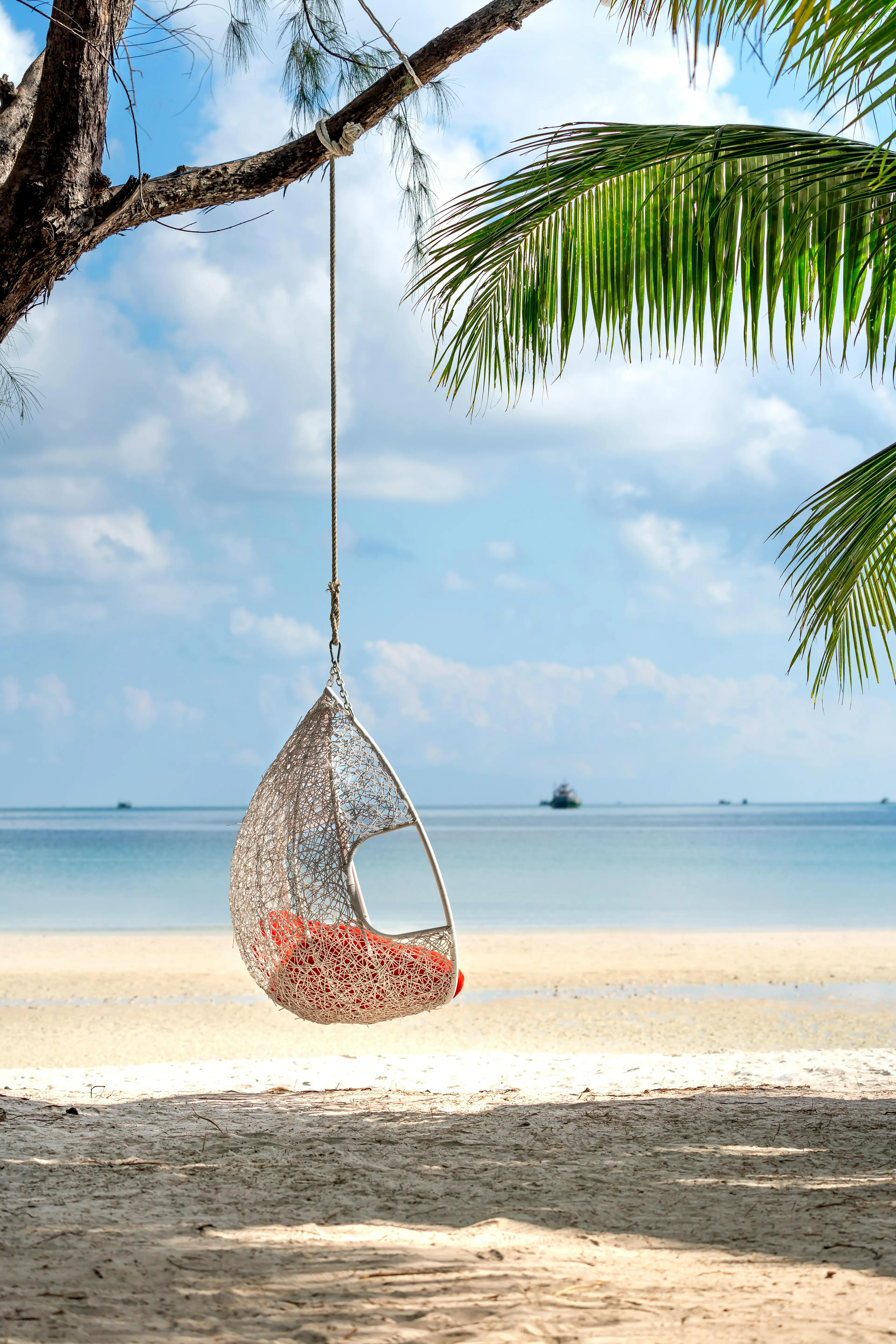 siège suspendu a une branche d'arbre sur une plage